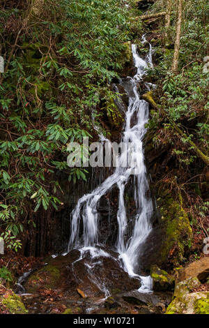 Polo Centrale piccolo fiume e piccolo flusso a cascata nel Parco Nazionale di Great Smoky Mountains Tennessee Foto Stock