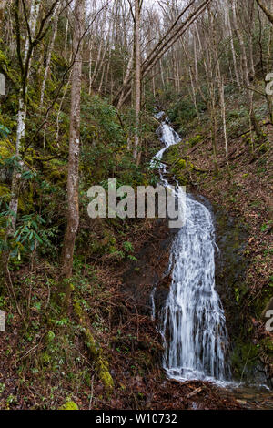 Polo Centrale piccolo fiume e piccolo flusso a cascata nel Parco Nazionale di Great Smoky Mountains Tennessee Foto Stock