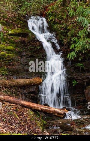 Polo Centrale piccolo fiume e piccolo flusso a cascata nel Parco Nazionale di Great Smoky Mountains Tennessee Foto Stock