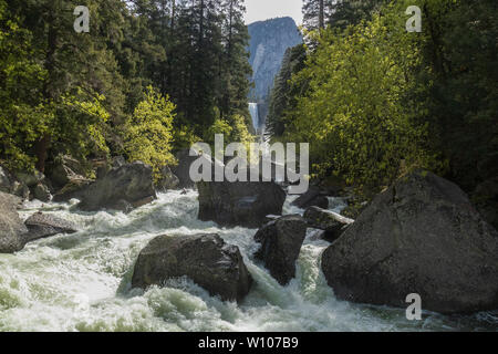 Merced River con primaverile cade in background, Yosemite National Park, California, Stati Uniti d'America Foto Stock