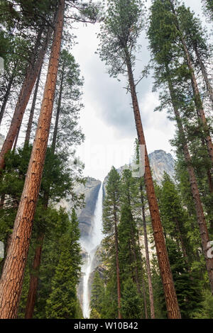 Yosemite Falls nel Parco Nazionale di Yosemite in California, Stati Uniti d'America Foto Stock