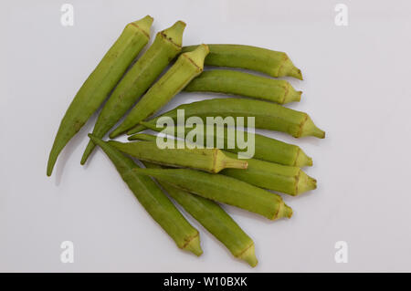 Fresco e verde okra organico da un giardino di casa isolata su sfondo bianco. Foto Stock