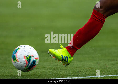 Charlotte, NC, Stati Uniti d'America. Il 23 giugno, 2019. Il 2019 Gold Cup match presso la Bank of America Stadium di Charlotte, NC. (Scott Kinser) Credito: csm/Alamy Live News Foto Stock