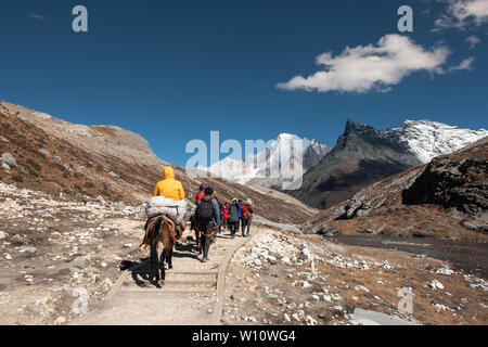 Daocheng, Cina - Ott 23 2018 : i turisti sono backpacker e trekking a cavallo sul picco roccioso vicino lago di latte a quota 4500m, Yading riserva naturale Foto Stock