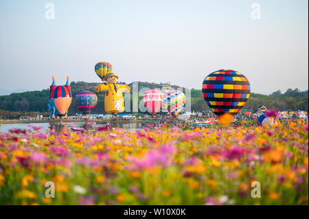 Chiang Rai, Thailandia - Feb 14 2019 : i turisti in viaggio a palloncini colorati festival sul campo cosmos Foto Stock