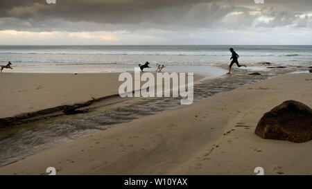 Esecuzione con i cani lungo la spiaggia di Glencairn sul Sud Africa False Bay costa, vicino a Cape Town, nel corso del paese nei mesi invernali Foto Stock