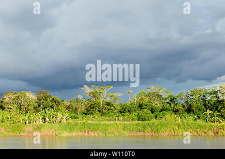 Il Perù, Amazzonia peruviana paesaggio. Le foto presenti riflessioni del Rio delle Amazzoni Foto Stock