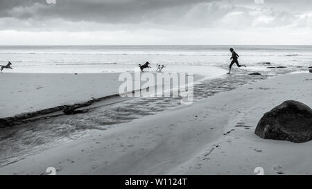 Esecuzione con i cani lungo la spiaggia di Glencairn sul Sud Africa False Bay costa, vicino a Cape Town, nel corso del paese nei mesi invernali Foto Stock