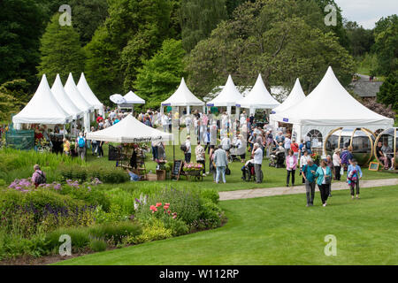 Vivaio si erge a RHS Harlow Carr flower show. Harrogate, Inghilterra Foto Stock