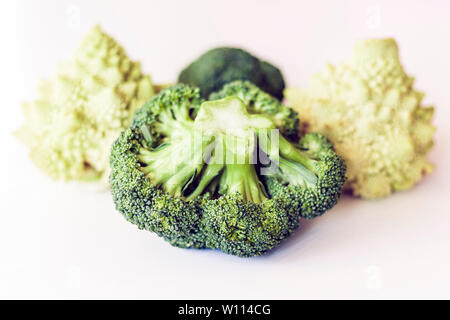 Infiorescenza broccoli e cavolfiore romano e su sfondo bianco isolato con spazio per il testo Foto Stock