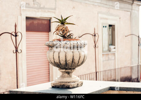 Decorativi in pietra vaso per piante sulla terrazza di un edificio storico di Catania, Sicilia, Italia Foto Stock