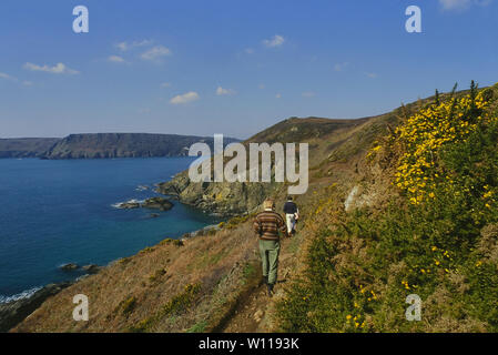 Passeggiata costiera vicino a Salcombe, Devon, Inghilterra, Regno Unito Foto Stock