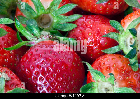 Fragole e Datouli Foto Stock