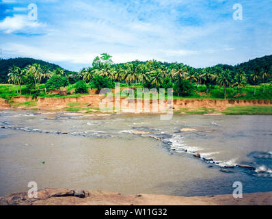Oya fiume in Sri Lanka, Pinnawala l'Orfanotrofio degli Elefanti Foto Stock