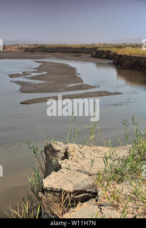 Riva destra-Keriya fiume che scorre verso nord nel deserto di Taklamakan. Xinjiang-Cina-0217 Foto Stock