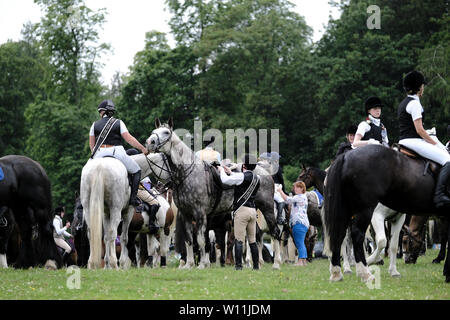 Galashiels, Regno Unito. Il 29 giugno, 2019. Braw Lads raccolta, il cerimoniale di cerimoniale di giorno, piloti dopo aver guadato il fiume Tweed, oltre 300 montato sostenuto seguita la Braw Lad e Lass come essi istituito nel 1930, il Braw Lads la raccolta è in molti modi un rilancio della Fiera di mezza estate. Le cerimonie sono basati sugli eventi della storia di Galashiels. 2. Credito: Rob grigio/Alamy Live News Foto Stock