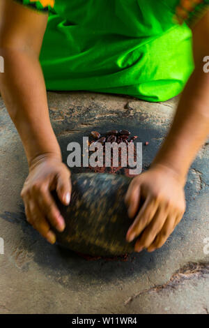 Rendendo chocolat, Oreba cacao biologico, Oeste Arriba River, Ngabe gruppo etnico, Bocas del Toro Provincia, Panama, America Centrale, America Foto Stock