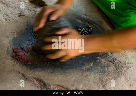 Rendendo chocolat, Oreba cacao biologico, Oeste Arriba River, Ngabe gruppo etnico, Bocas del Toro Provincia, Panama, America Centrale, America Foto Stock