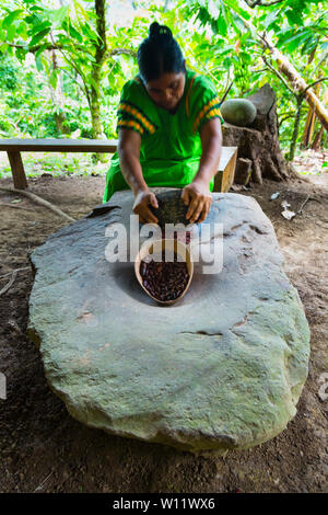 Rendendo chocolat, Oreba cacao biologico, Oeste Arriba River, Ngabe gruppo etnico, Bocas del Toro Provincia, Panama, America Centrale, America Foto Stock