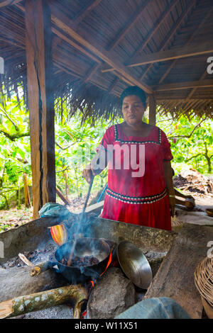 Torrefazione di chicchi di cacao, Oreba cacao biologico, Oeste Arriba River, Ngabe gruppo etnico, Bocas del Toro Provincia, Panama, America Centrale, America Foto Stock