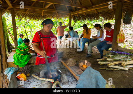 Torrefazione di chicchi di cacao, Oreba cacao biologico, Oeste Arriba River, Ngabe gruppo etnico, Bocas del Toro Provincia, Panama, America Centrale, America Foto Stock