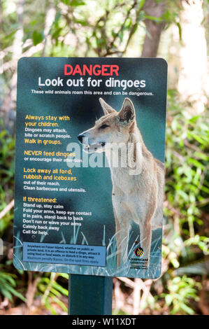 Un sentiero avviso, consigliando ai visitatori sui pericoli di fronte Dingoes, essi sono specie di protezione e live su Fraser Island in Queensl Foto Stock