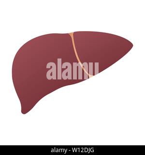 Il fegato umano anatomia. Human organi interni simbolo. Illustrazione di vettore isolato su sfondo bianco Illustrazione Vettoriale