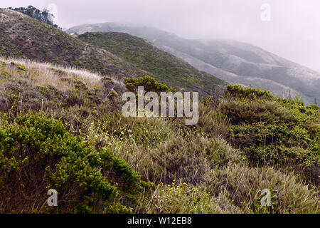 Nebbia in rotolamento sulle colline e valli a Marin Headlands, Northern California, San Francisco Bay Area Foto Stock