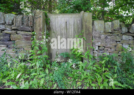 Cancello in un muro di pietra asciutto con erbacce Foto Stock