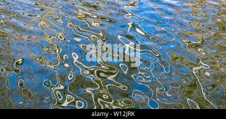 Riflessioni di foresta in uno stagno, molla, orientale degli Stati Uniti, di Dominique Braud/Dembinsky Foto Assoc Foto Stock