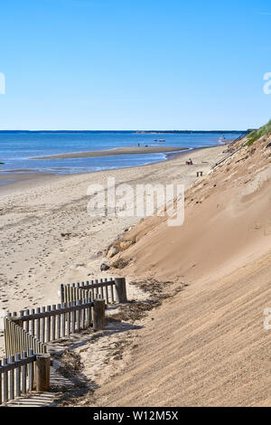 Guardando lungo la spiaggia verso l'acqua a Cape Cod Massachusetts con una vista della scherma di erosione lungo la base della scogliera Foto Stock