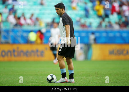 Salvador, Brasile. Il 29 giugno, 2019. Il 29 giugno, 2019, Arena Fonte Nova Stadium, Salvador, Brasile; Copa America torneo internazionale di calcio, Perù versus Uruguay; Luis Suárez Credit: Azione Plus immagini di sport/Alamy Live News Foto Stock