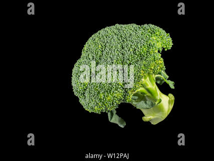 Broccoli è un verde commestibile in pianta della famiglia del cavolo, Brassica oleracea, la cui grande fiore di testa e gambo è mangiato come un vegetale Foto Stock