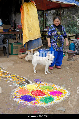 Tradizionalmente un vestito donna e un spitz cane stand al di fuori di una banchina ristorante decorato con polvere colorata e fiori per celebrare Diwali Foto Stock