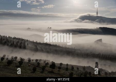 Pechino, Cina. Il 9 giugno, 2019. Foto scattata il 9 giugno 2019 mostra la nebbia di mattina scenario in Canberra, Australia. Credito: Liu Changchang/Xinhua/Alamy Live News Foto Stock