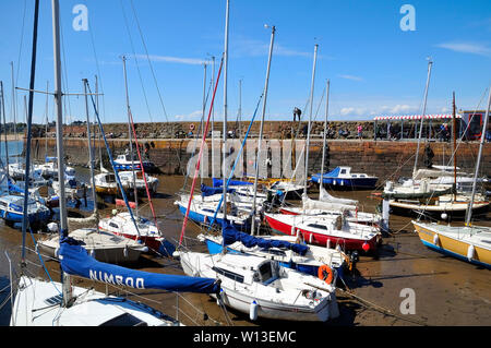 Yacht e barche ormeggiate nel porto a North Berwick, Scozia Foto Stock