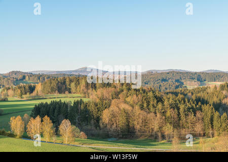 La vista delle montagne Lusen nella foresta bavarese in estate, Germania Foto Stock