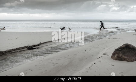 Esecuzione con i cani lungo la spiaggia di Glencairn sul Sud Africa False Bay costa, vicino a Cape Town, nel corso del paese nei mesi invernali Foto Stock