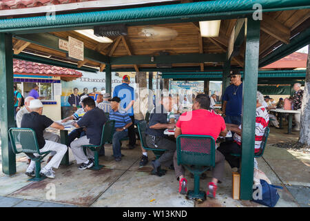 Gli anziani gli uomini locali raccogliere e riprodurre dei dominos a Maximo Gomez Park/Domino Park sulla Calle Ocho in Little Havana Miami, Florida USA. Foto Stock