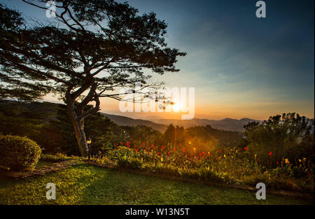 Al tramonto nelle montagne di Kandy, centro dello Sri Lanka, ho alloggiato al picco Hotel in Kandy montagne che di sera. Non appena ho abbandonato il mio bagaglio e camminato fuori della camera, la bellezza del tramonto è apparso davanti a me. Foto Stock