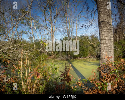 splendido paesaggio naturale del sud Foto Stock