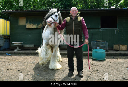 Romany viaggiatore Tom prezzo a casa a Pencoed con il suo partner Luanne e figlia Maggie. Egli è raffigurato al suo smallholding con il boss di Galway Foto Stock