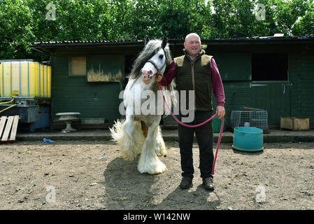 Romany viaggiatore Tom prezzo a casa a Pencoed con il suo partner Luanne e figlia Maggie. Egli è raffigurato al suo smallholding con il boss di Galway Foto Stock