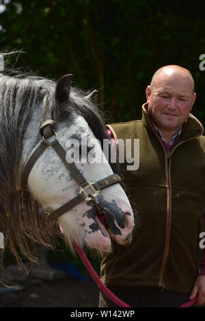 Romany viaggiatore Tom prezzo a casa a Pencoed con il suo partner Luanne e figlia Maggie. Egli è raffigurato al suo smallholding con il boss di Galway Foto Stock