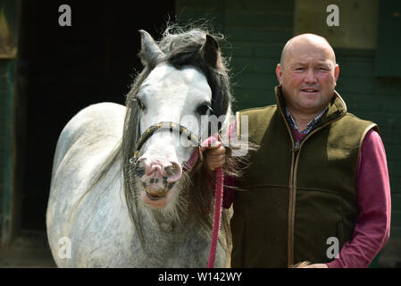 Romany viaggiatore Tom prezzo a casa a Pencoed con il suo partner Luanne e figlia Maggie. Egli è raffigurato al suo smallholding con il boss di Galway Foto Stock