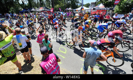 Hohenstein Ernstthal, Germania. Il 30 giugno, 2019. Escursioni in bicicletta, campionato tedesco, la gara su strada 180.60 km, uomini, al Sachsenring. Il peloton a un ascesa sulla rotta. Credito: Hendrik Schmidt/dpa-Zentralbild/dpa/Alamy Live News Foto Stock