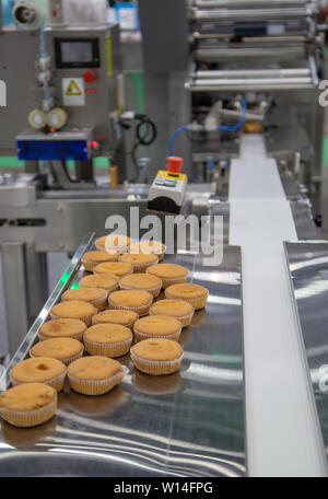 Pane e toast, bun avvolgimento di plastica macchina sulla linea di produzione di prodotti da forno Foto Stock