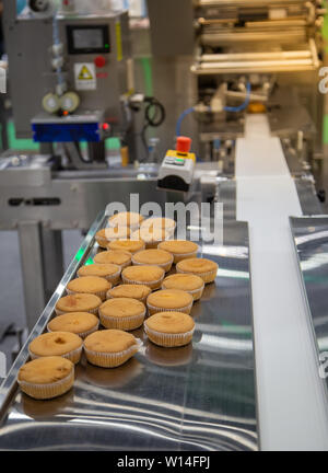 Pane e toast, bun avvolgimento di plastica macchina sulla linea di produzione di prodotti da forno Foto Stock