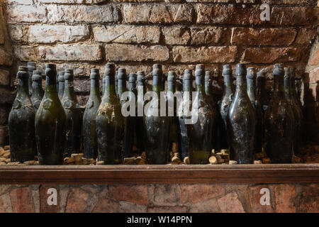 Vecchie bottiglie di vino sul ripiano in cantina Foto Stock