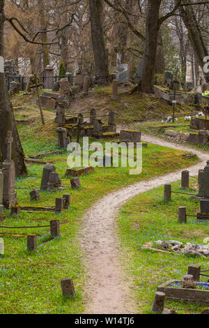 Vilnius,Užupis/Lithuania-April,11,2019: Impressionante fioritura di Scilla siberica in uno più antico 19c. Bernardinai cimitero di Vilnius. Scilla è più presto pla Foto Stock